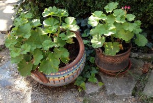 Eтъра-Габрово (7)