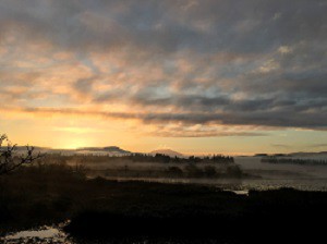 изгрев-за песен